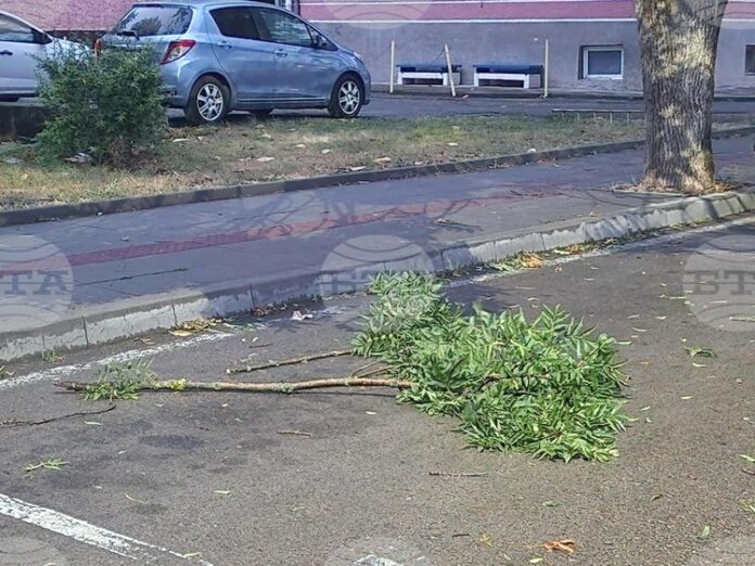 При силен вятър не стойте на открито заради опасността от падащи предмети, съветват от пожарната