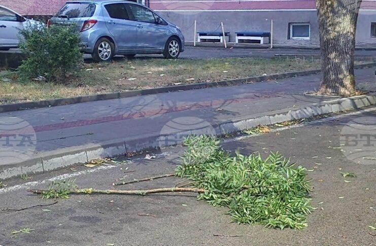 При силен вятър не стойте на открито заради опасността от падащи предмети, съветват от пожарната