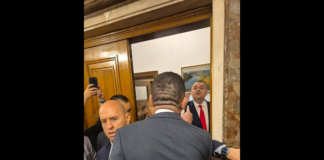 Мирчев Пеевски