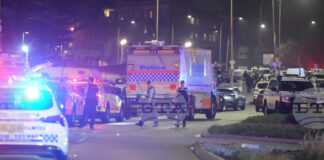 СПРАВКА
                                                                                                АП: Масови стрелби в Австралия в миналото