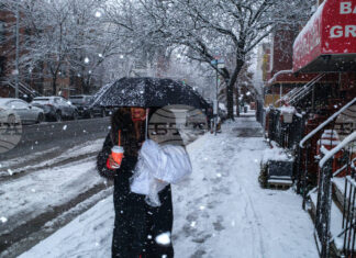 Стотици полети бяха отменени, след като зимна буря с обилни снеговалежи връхлетя Ню Йорк и някои от североизточните щати на САЩ