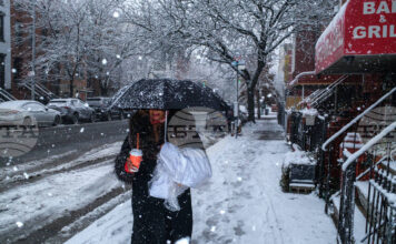Стотици полети бяха отменени, след като зимна буря с обилни снеговалежи връхлетя Ню Йорк и някои от североизточните щати на САЩ