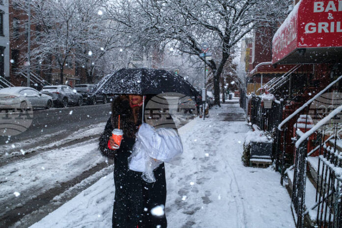 Стотици полети бяха отменени, след като зимна буря с обилни снеговалежи връхлетя Ню Йорк и някои от североизточните щати на САЩ