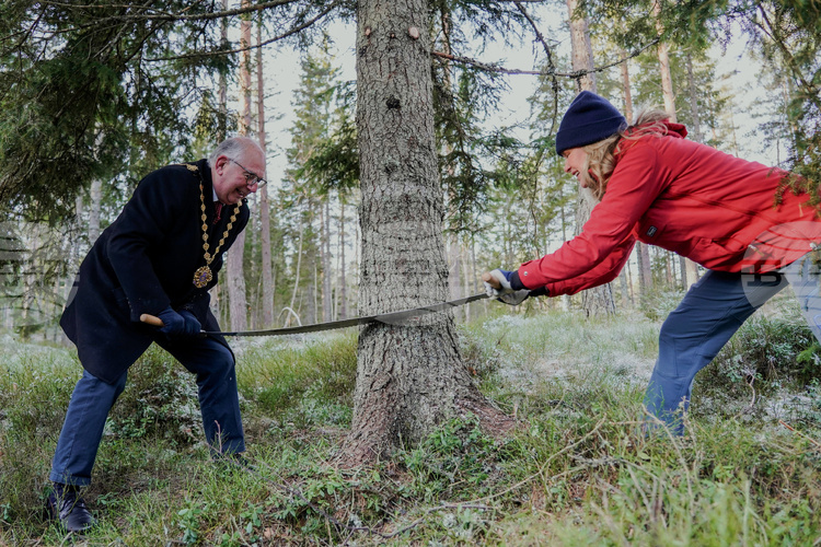 Коледната елха на площад Трафалгар в Лондон която ще бъде