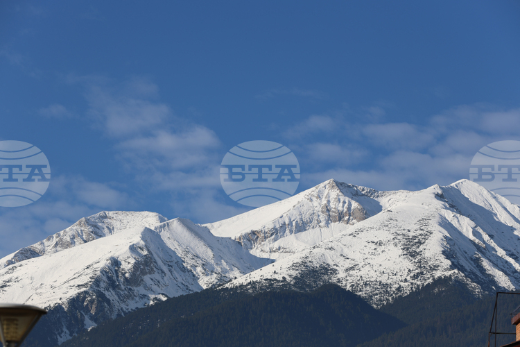 В по високите региони на Рила и Пирин а вероятно