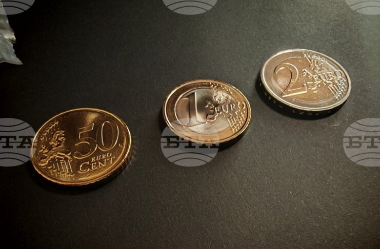 Виртуалните сметки за митнически задължения ще се превалутират автоматично в евро на 1 януари