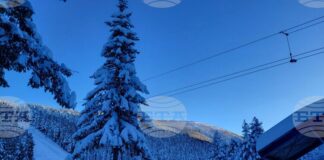 Зимният сезон в “Мальовица” ще бъде открит на 14 декември