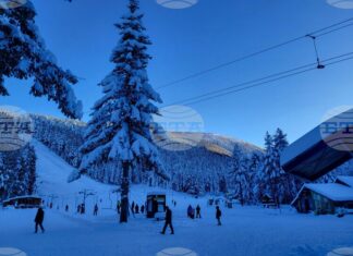 Зимният сезон в “Мальовица” ще бъде открит на 14 декември Зимният сезон в “Мальовица” ще бъде открит на 14 декември