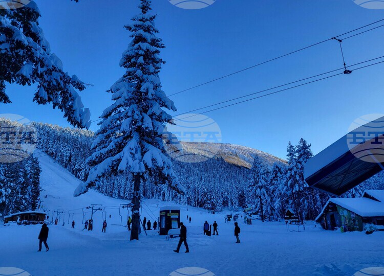 Официалното откритие на зимния сезон в курорта Мальовица е планирано