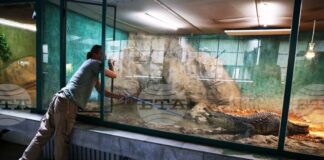 Зоологическата градина в София няма да работи от 1 до 4 януари