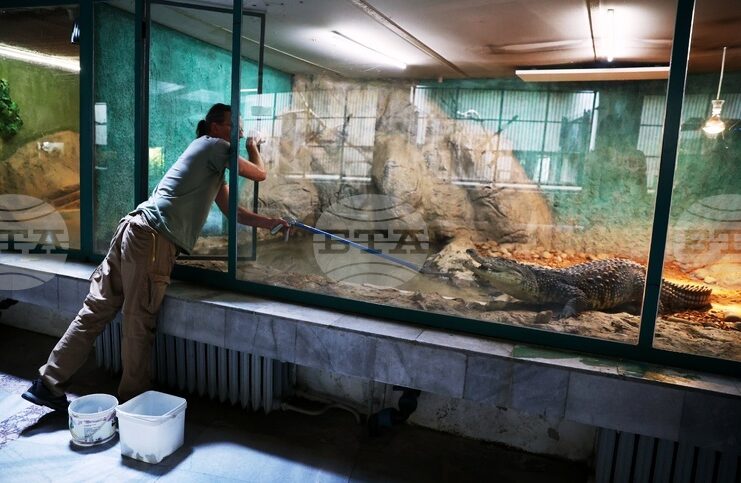 Зоологическата градина в София няма да работи от 1 до 4 януари