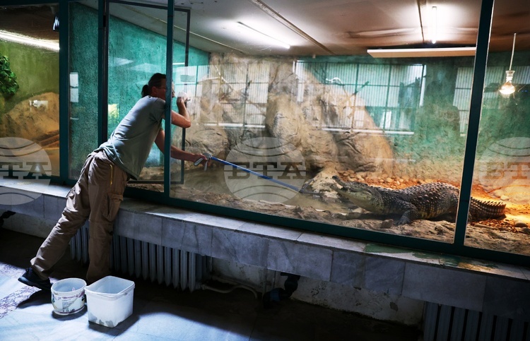 Първият работен ден на зоологическата градина през 2026 г ще