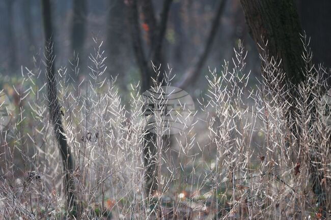 Днес времето ще бъде предимно слънчево съобщиха от Националния институт