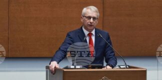 Николай Денков