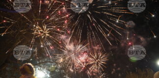 Нова година