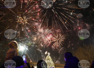 Нова година