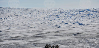 Гренландия