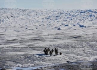 Гренландия