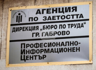 Безработицата за декември остава на ниско ниво, посочват от Агенцията по заетостта