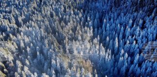 Лоши са условията за туризъм в планините, съобщиха от Планинската спасителна служба