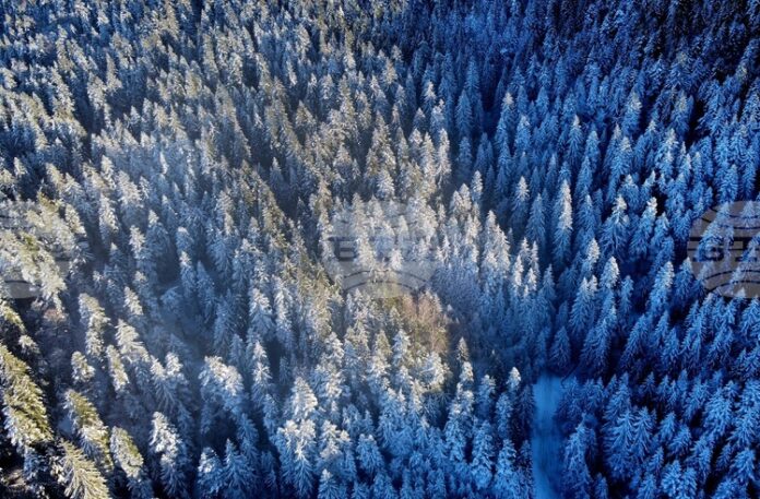 Лоши са условията за туризъм в планините, съобщиха от Планинската Лоши са условията за туризъм в планините, съобщиха от Планинската спасителна служба