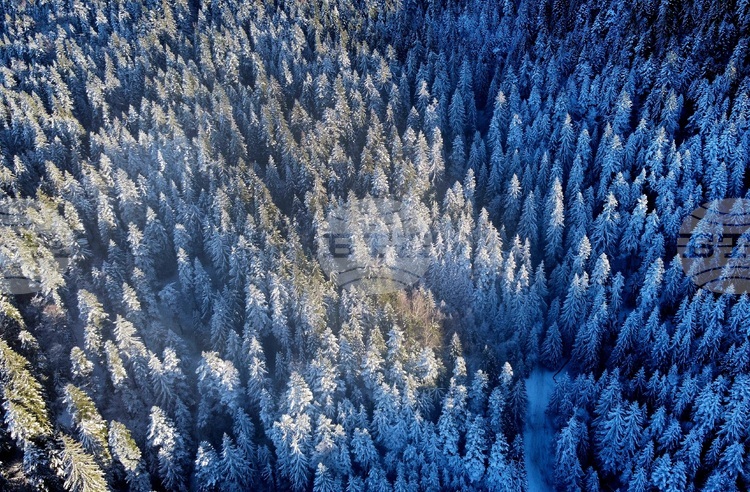 Лоши са условията за туризъм в планините, съобщиха от Планинската спасителна служба