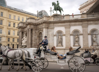 Музеят „Албертина“ във Виена отбелязва 250 години от основаването си с многобройни събития