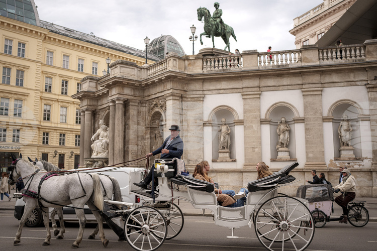 През 2026 година музеят Албертина във Виена ще празнува своята
