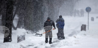 Нормална е пътната обстановка в София, градският транспорт изпълнява маршрутите си, съобщиха от Столична община