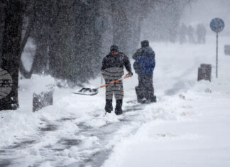 Нормална е пътната обстановка в София, градският транспорт изпълнява маршрутите си, съобщиха от Столична община Нормална е пътната обстановка в София, градският транспорт изпълнява маршрутите си, съобщиха от Столична община