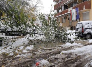 Обработени са общо 35 сигнала, основно за паднали клони на дървета и образували се завирявания, съобщиха от Столична община