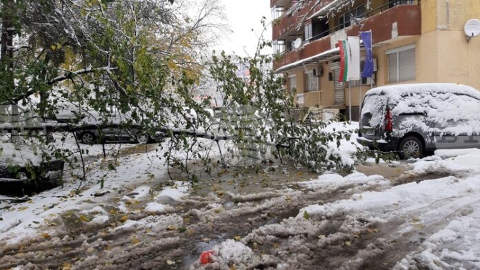 Обработени са общо 35 сигнала, основно за паднали клони на дървета и образували се завирявания, съобщиха от Столична община