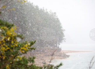 Оранжев код за четири области в страната и жълт код за 19 области са обявени от НИМХ за днес Оранжев код за четири области в страната и жълт код за 19 области са обявени от НИМХ за днес