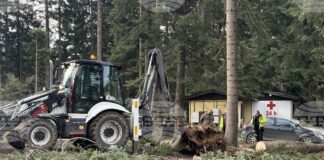 Паднали дървета в Боровец са нанесли щети върху три автомобила, туристи са извозени от последната лифт станция до курорта, каза Николай Стойнов