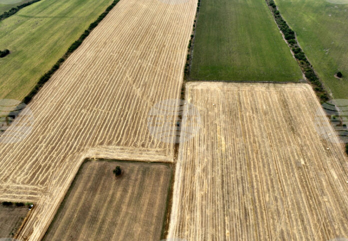 Правителството в оставка актуализира Тарифата за таксите по поземлена собственост у нас в съответствие с изискванията за еврото