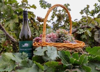 Рекорден брой проби за дегустация, представени от участници от цялата страна, се надпреварват в тазгодишния конкурс "Най-добро домашно вино" на община Асеновград