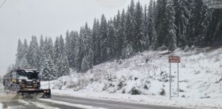 Републиканските пътища са почистени и проходими при зимни условия, на терен работят 101 машини, съобщиха от пътната агенция