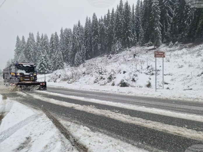 Републиканските пътища са почистени и проходими при зимни условия, на терен работят 101 машини, съобщиха от пътната агенция