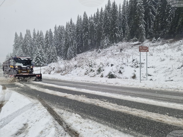 Републиканските пътища са почистени и проходими при зимни условия, на терен работят 101 машини, съобщиха от пътната агенция