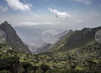 САБА: Транспортирането на туристите от остров Сокотра ще се извършва безопасно и сигурно, заяви йеменското министерство на транспорта