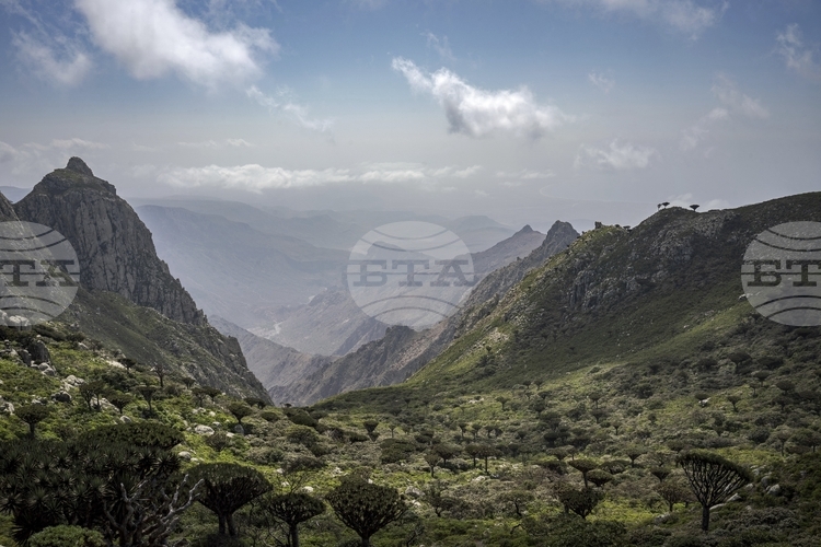 Насер Шариф замминистър на транспорта в Йемен съобщи че вече
