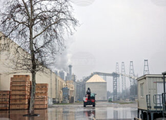 Съдът в Бургас спря предварителното изпълнение на принудителната административна мярка за спиране на линия на „Кроношпан“, съобщават от компанията