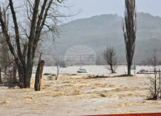 Създадена е организация за защита на населението в Крумовград и Кирково, съобщи Министерството на околната среда и водите