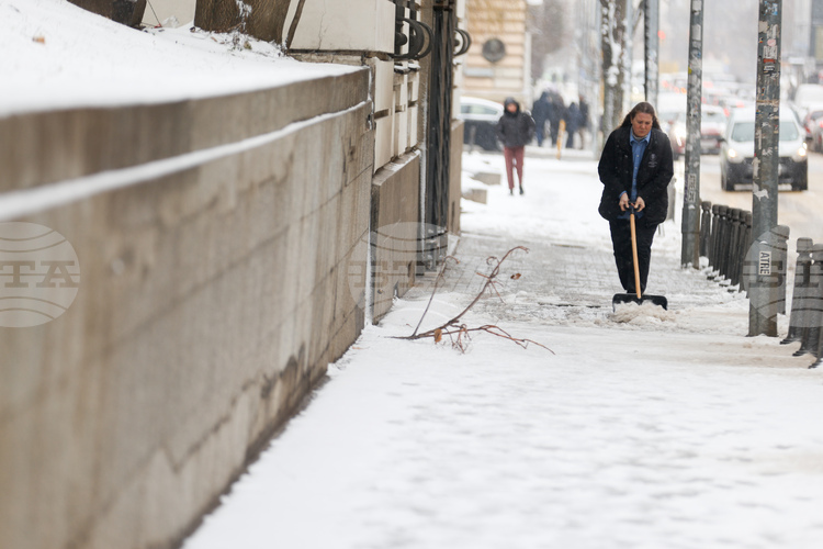 След първия снеговалеж са наложени 46 глоби на търговски обекти за непочистени тротоари, съобщиха от Столична община