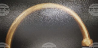 Служителката, откраднала фараонска гривна от Египетския музей, е осъдена на 15 години затвор