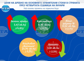 Стабилност при основните хранителни стоки и сезонен ръст при оранжерийните зеленчуци показва анализът на САПИ за цените на дребно у нас през седмицата
