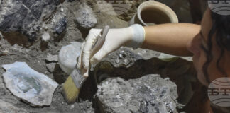 Учени използват съвременни технологии, за да „съживят“ графити от античния град Помпей