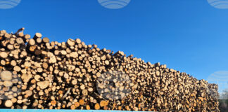 В седмицата между Коледа и Нова година търговията на Софийската стокова борса беше предимно на енергоносители