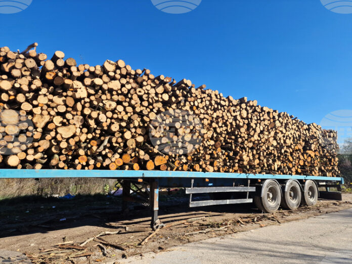 В седмицата между Коледа и Нова година търговията на Софийската В седмицата между Коледа и Нова година търговията на Софийската стокова борса беше предимно на енергоносители