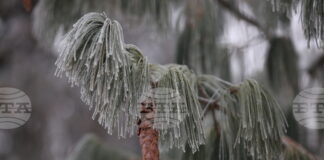 Жълт код за ниски температури е обявен за днес в 14 области в страната